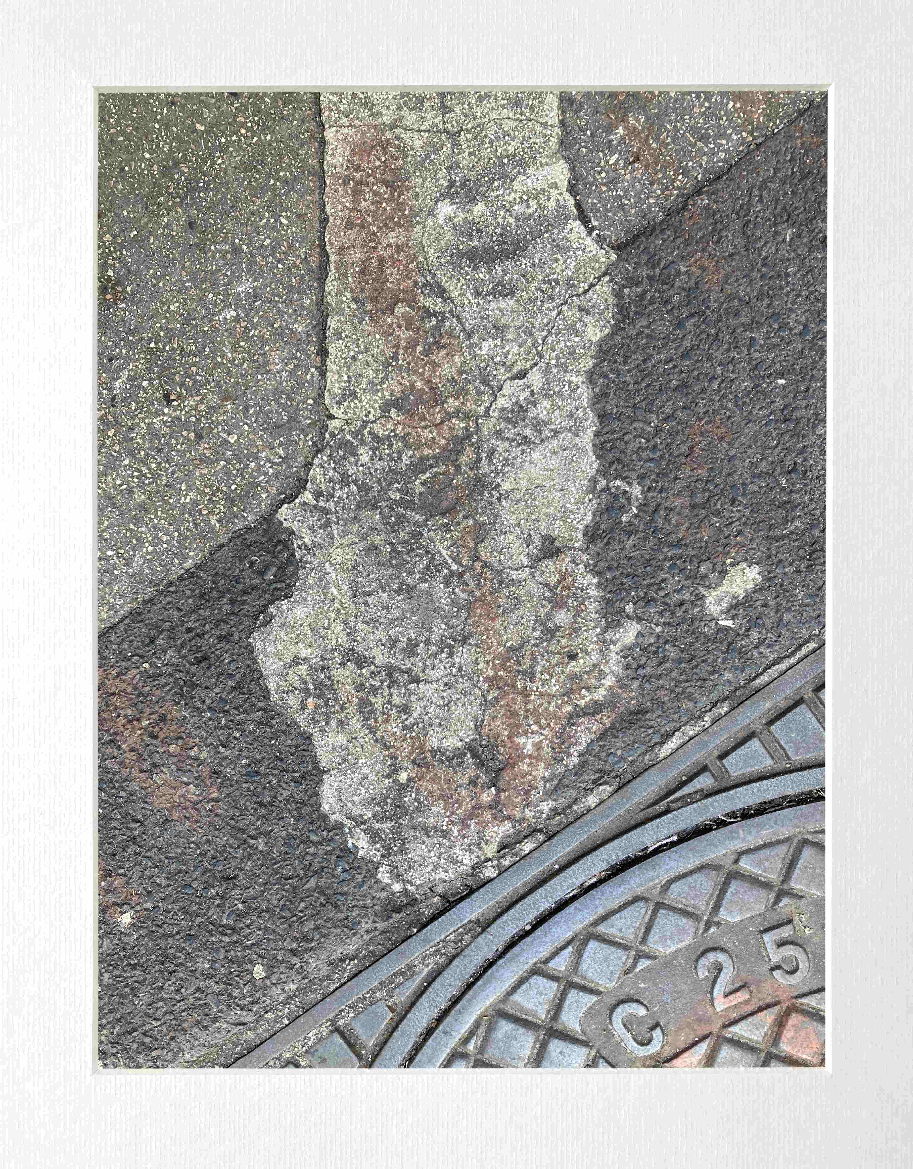 le Serpent à l'affut