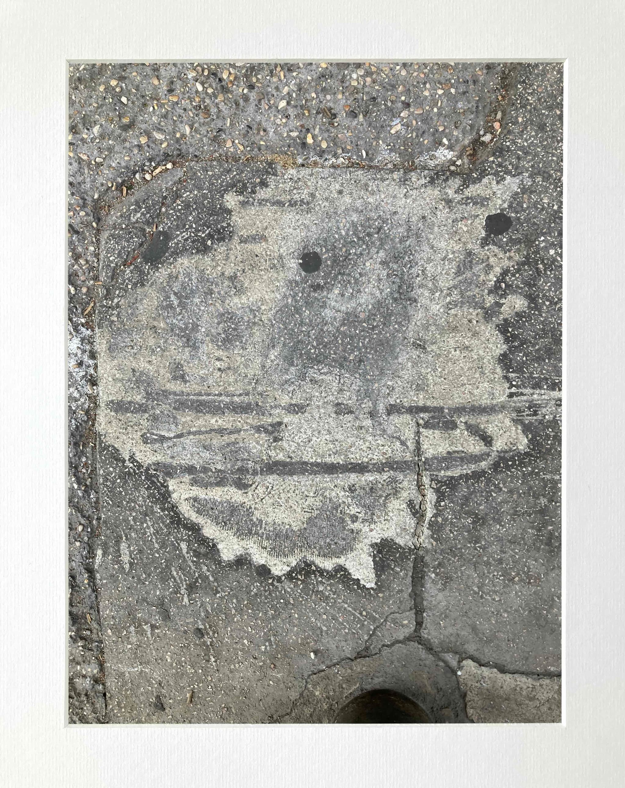 Toto aux deux Visages