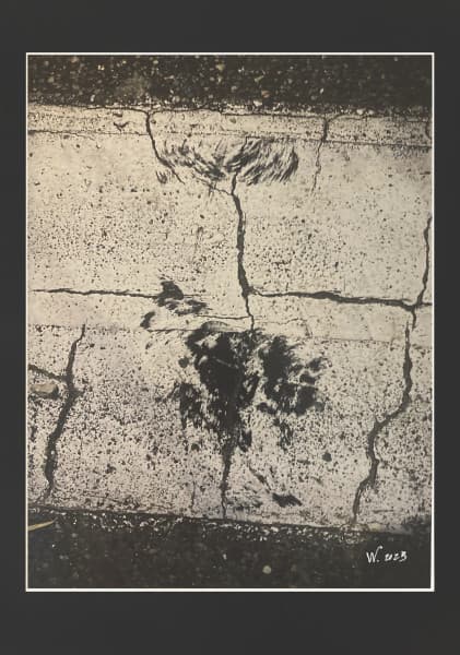 la Promenade du Chien