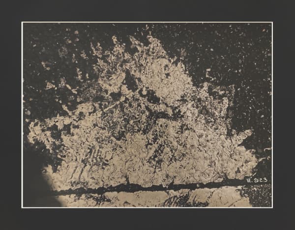 le Vieux Fumeur d'Opium