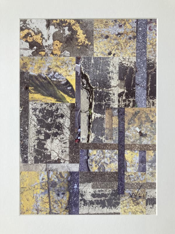 les Saumons et le Mégot